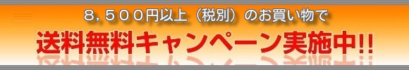 8500円以上で送料無料