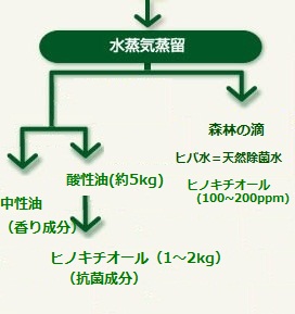 青森ひばの木粉を水蒸気蒸留でヒバの成分を抽出したものが精油！わずか0.9％しか取れない貴重な物！